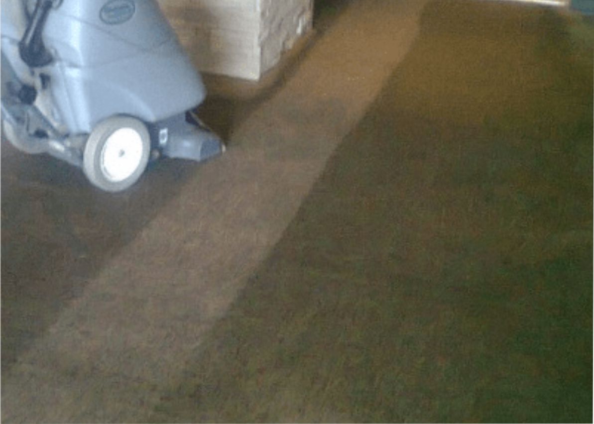 Carpet Cleaning