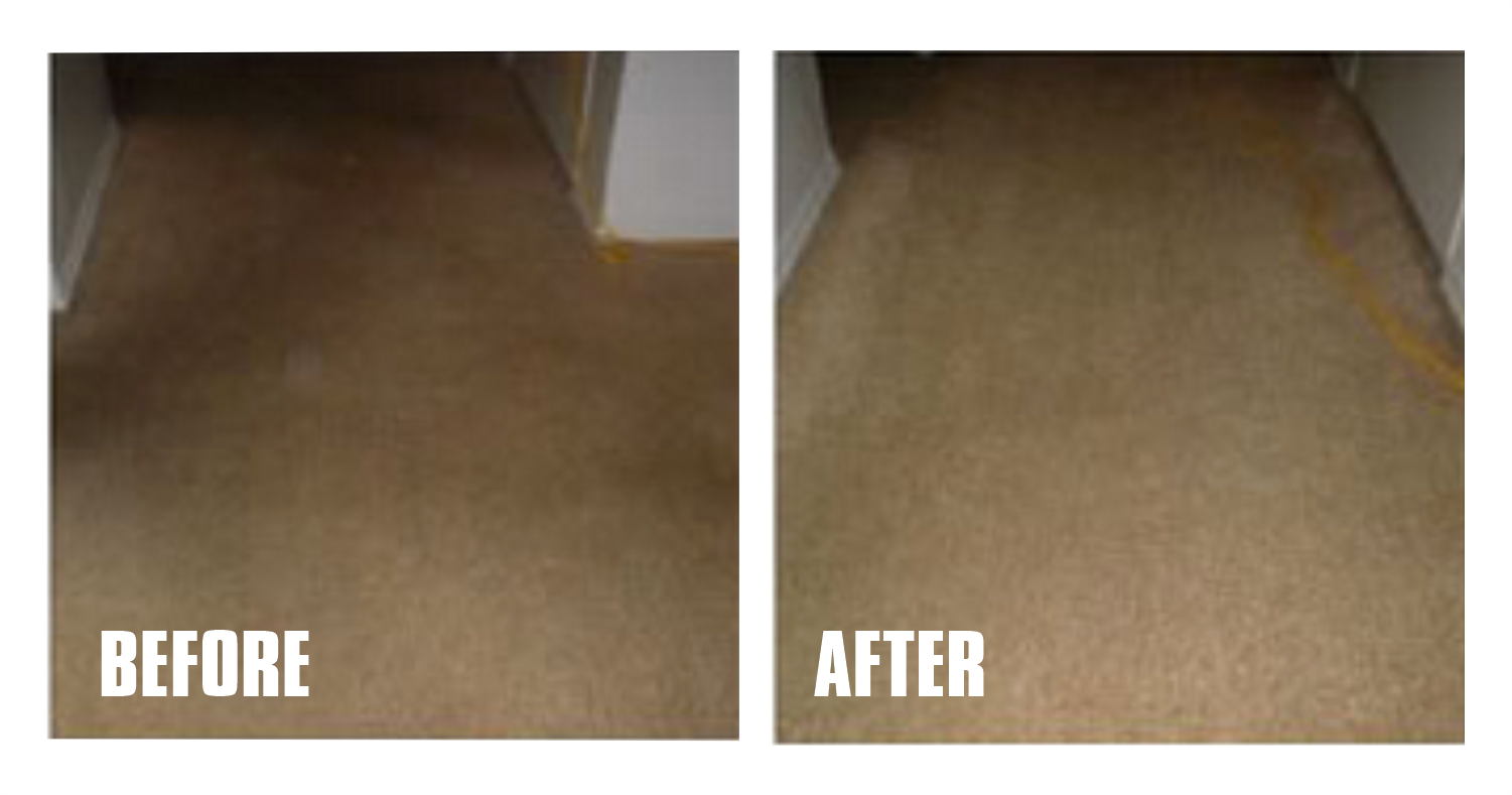 cleaned carpet